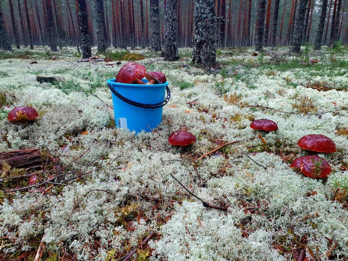Mysig Timmerstuga Vid Sjoen Bjoerken 34 Roennsudden Grangärde Exterior foto